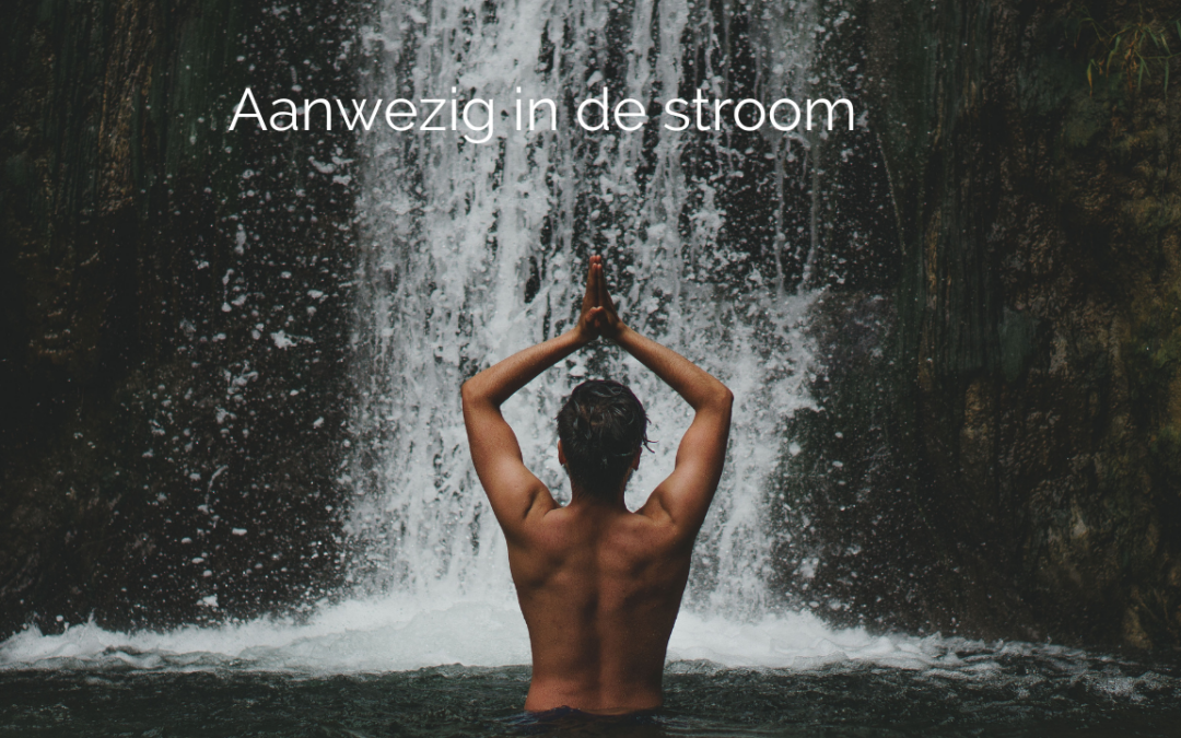 Aanwezig in de stroom